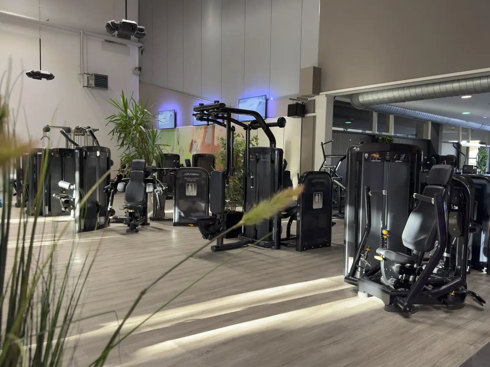 Trainingsfläche mit Life-Fitness-Geräten